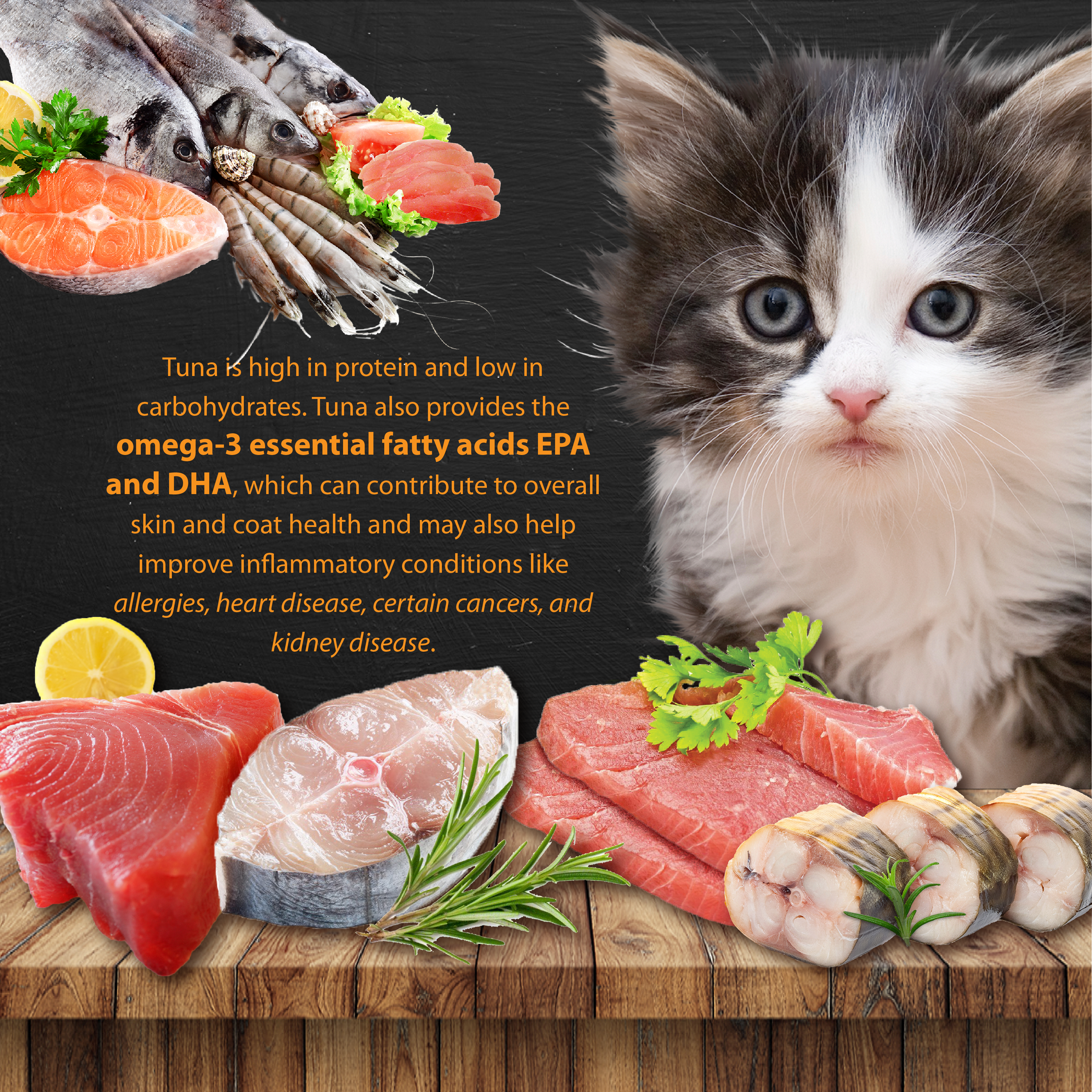 SC Premium Tuna 400g-E-03.png